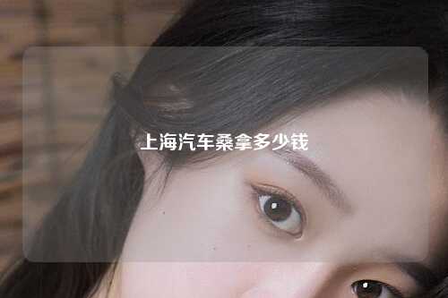 上海汽车桑拿多少钱