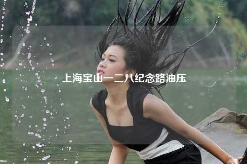 上海宝山一二八纪念路油压