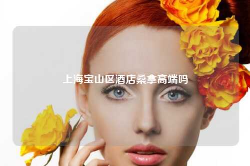上海宝山区酒店桑拿高端吗
