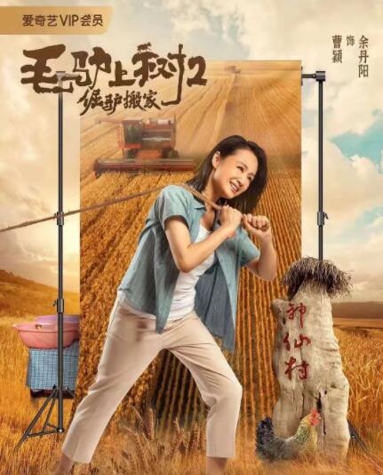 从早期银幕女性的勇敢破冰，到不同年代导演镜头下女性形象的丰富演绎，她们经历了从微光初现到百花绽放的坚韧历程。